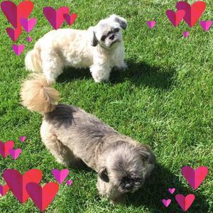 Meet your Posher, Cheri